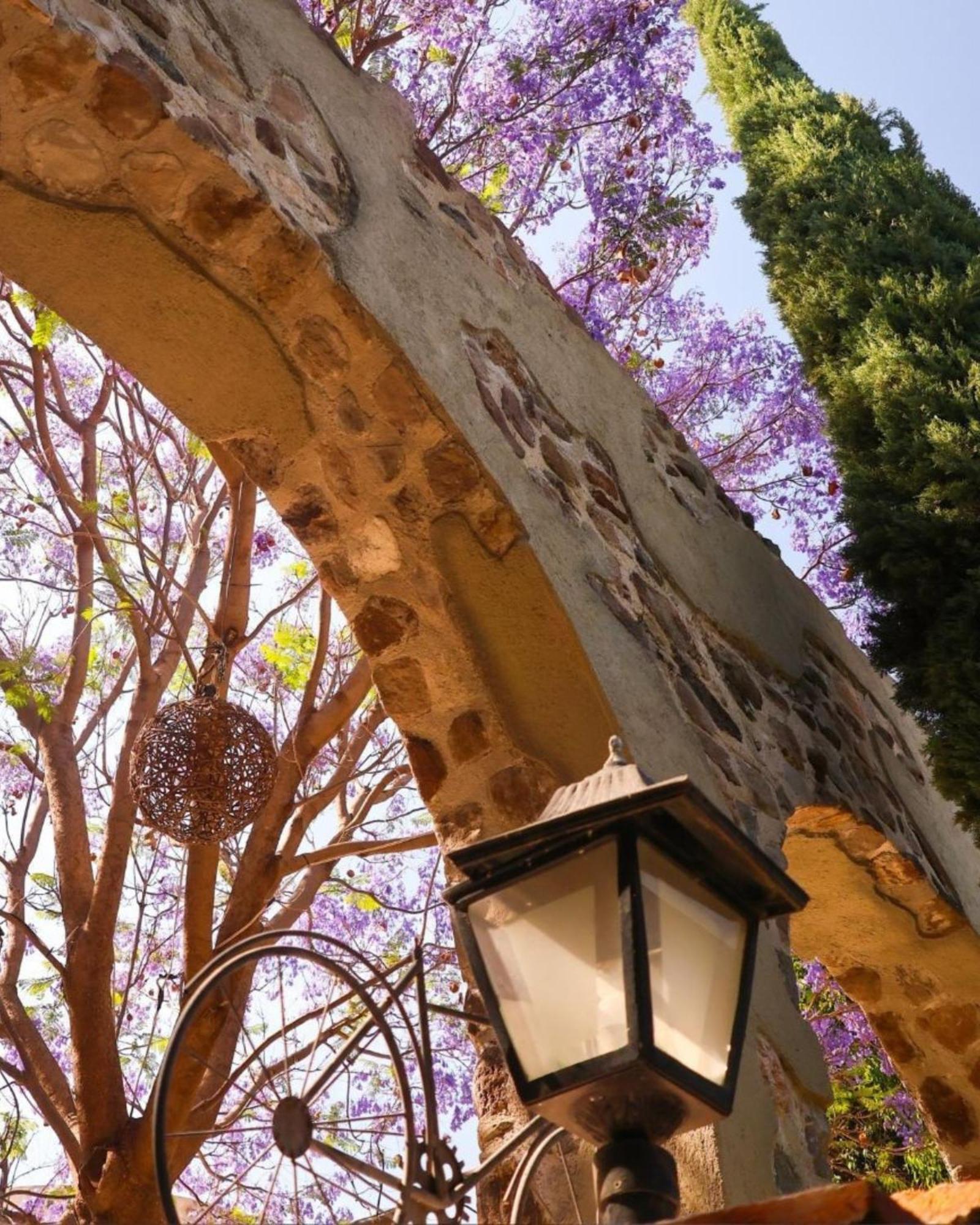 Suites Campestres Montebello Bernal Buitenkant foto