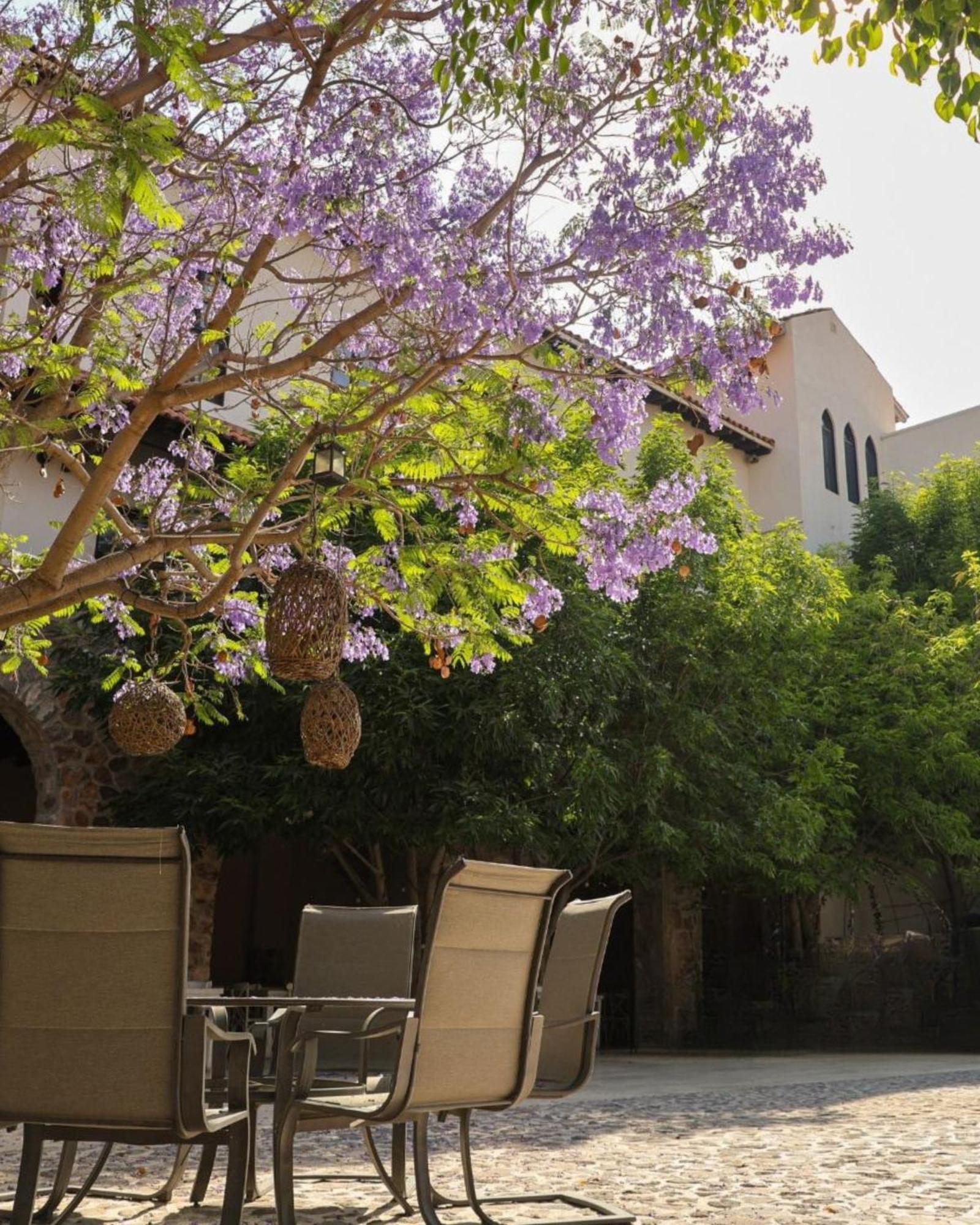 Suites Campestres Montebello Bernal Buitenkant foto